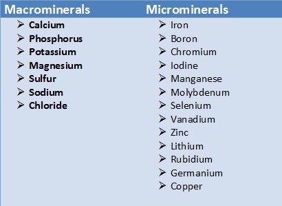 Mineral Chart Nutrition